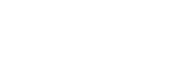 Airfleet Logo